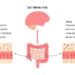 The Gut-Brain Connection: How a Healthy Gut Supports Emotional and ...