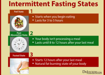 Benefits of Intermittent Fasting for Brain and Body